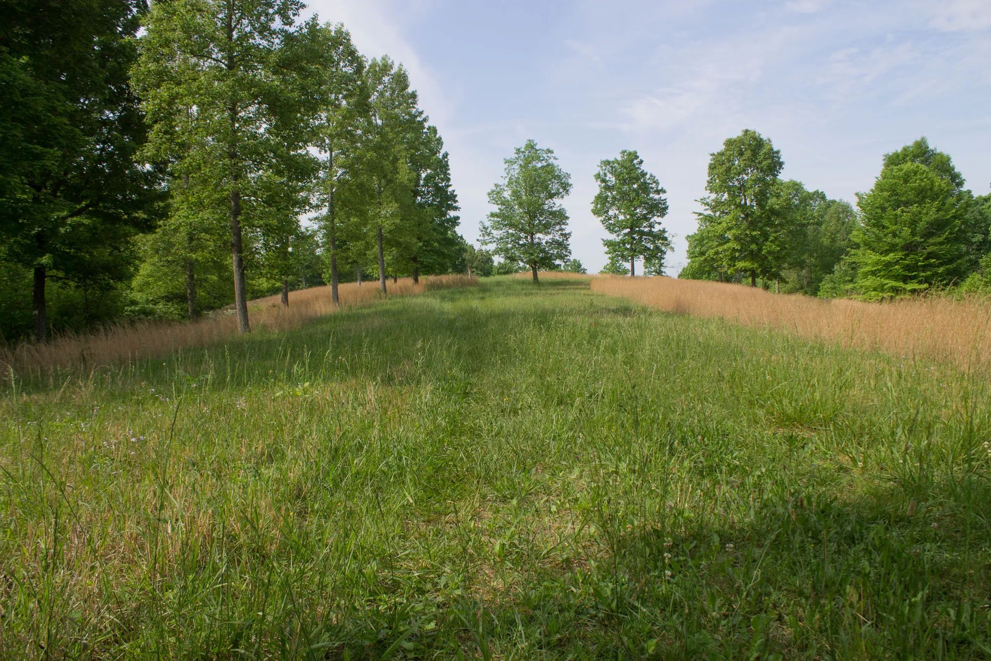 Laurel Ridge photo 5
