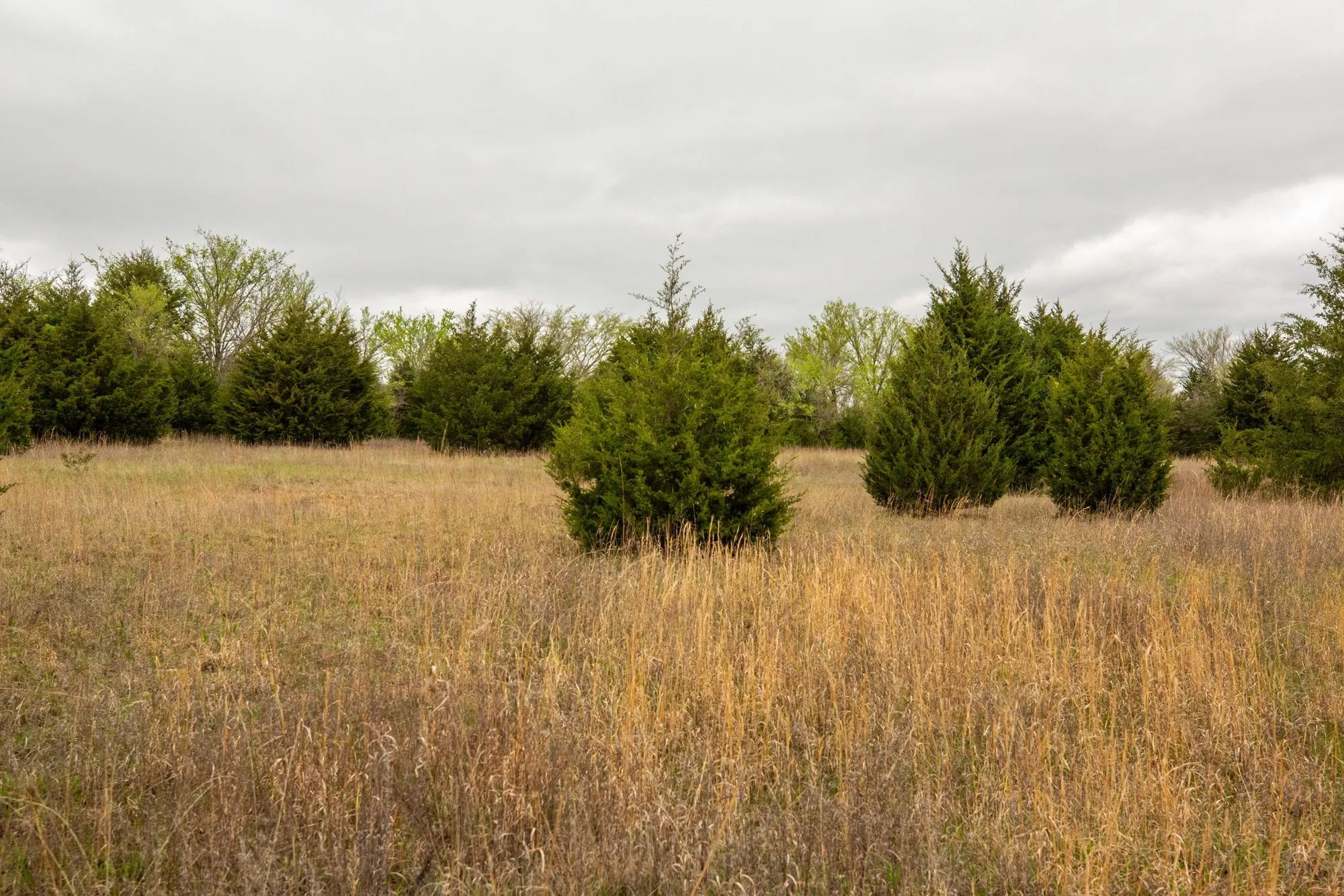 Moonrise Meadows photo 5