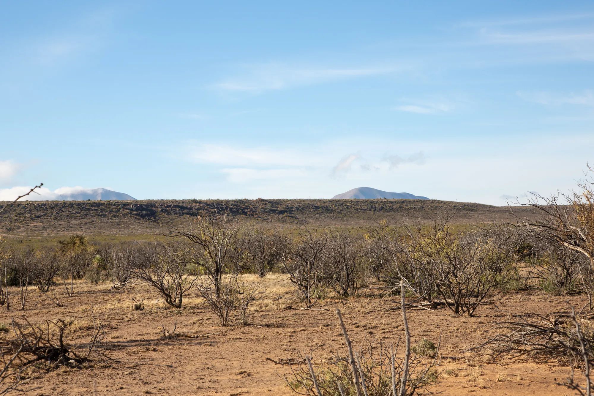Sunset Ranches photo 3