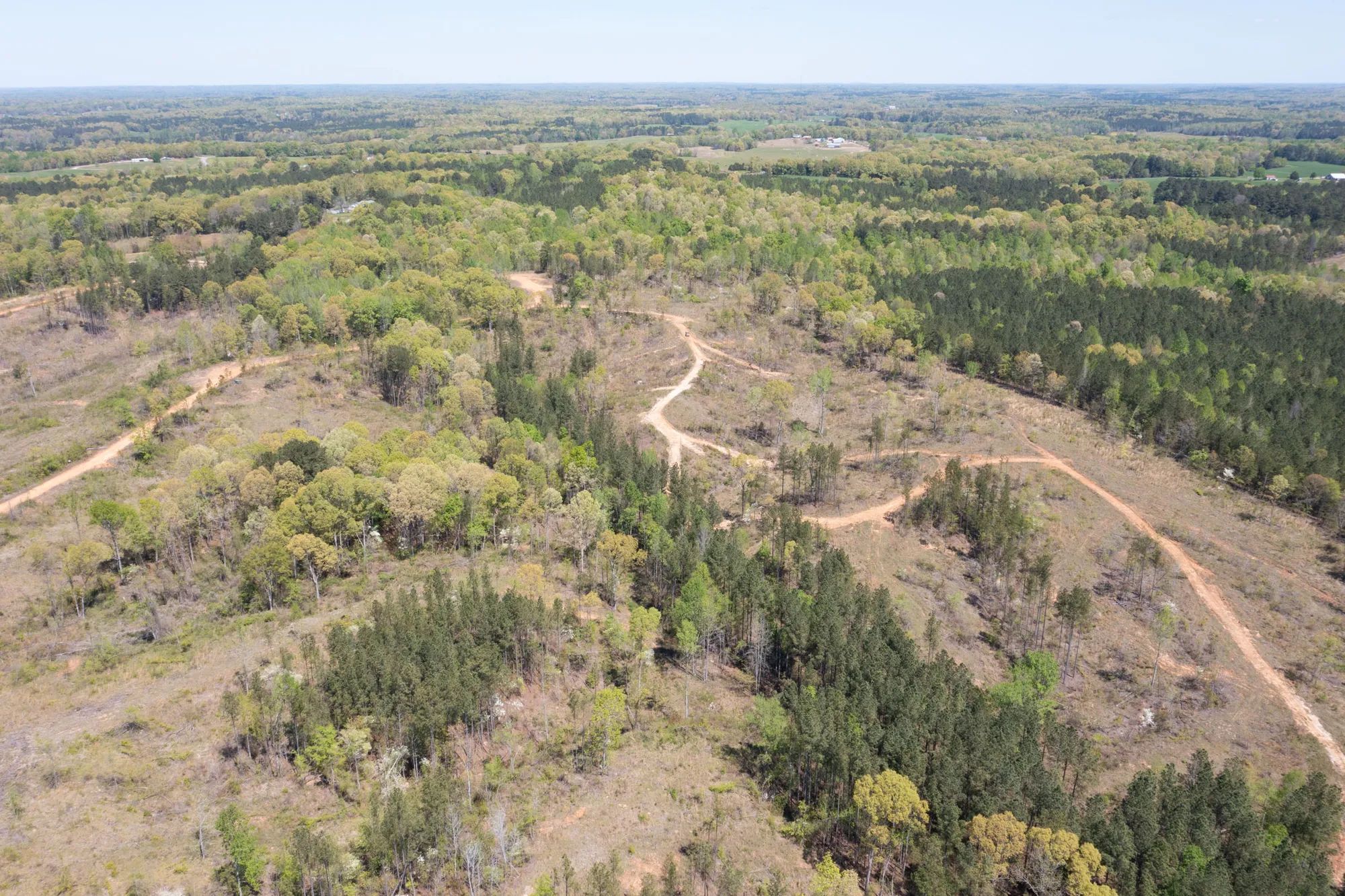 Twin Rivers photo 5