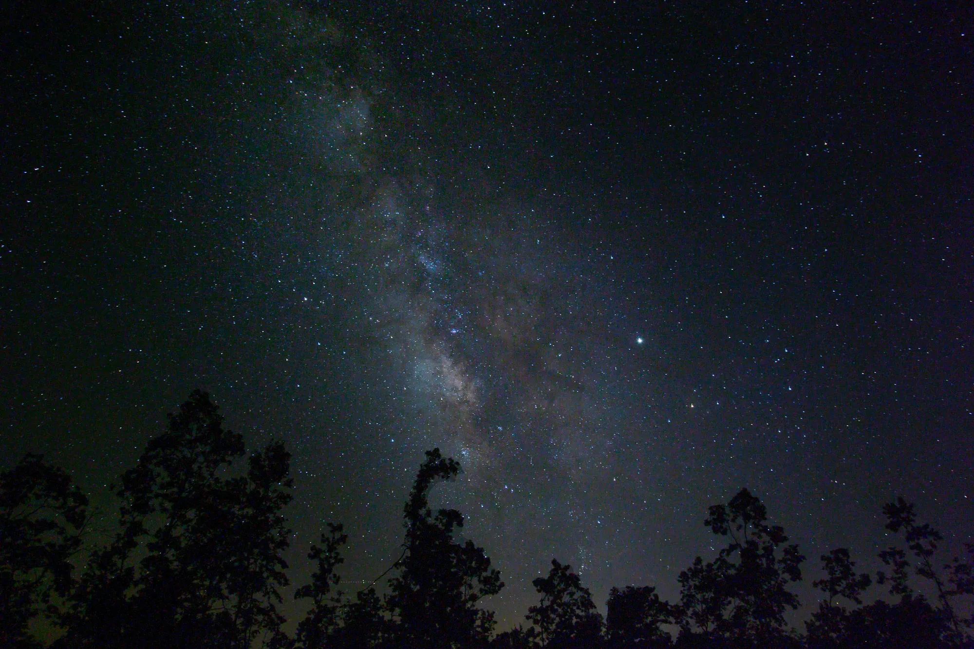 Borgmann’s Hollow Phase II photo 2