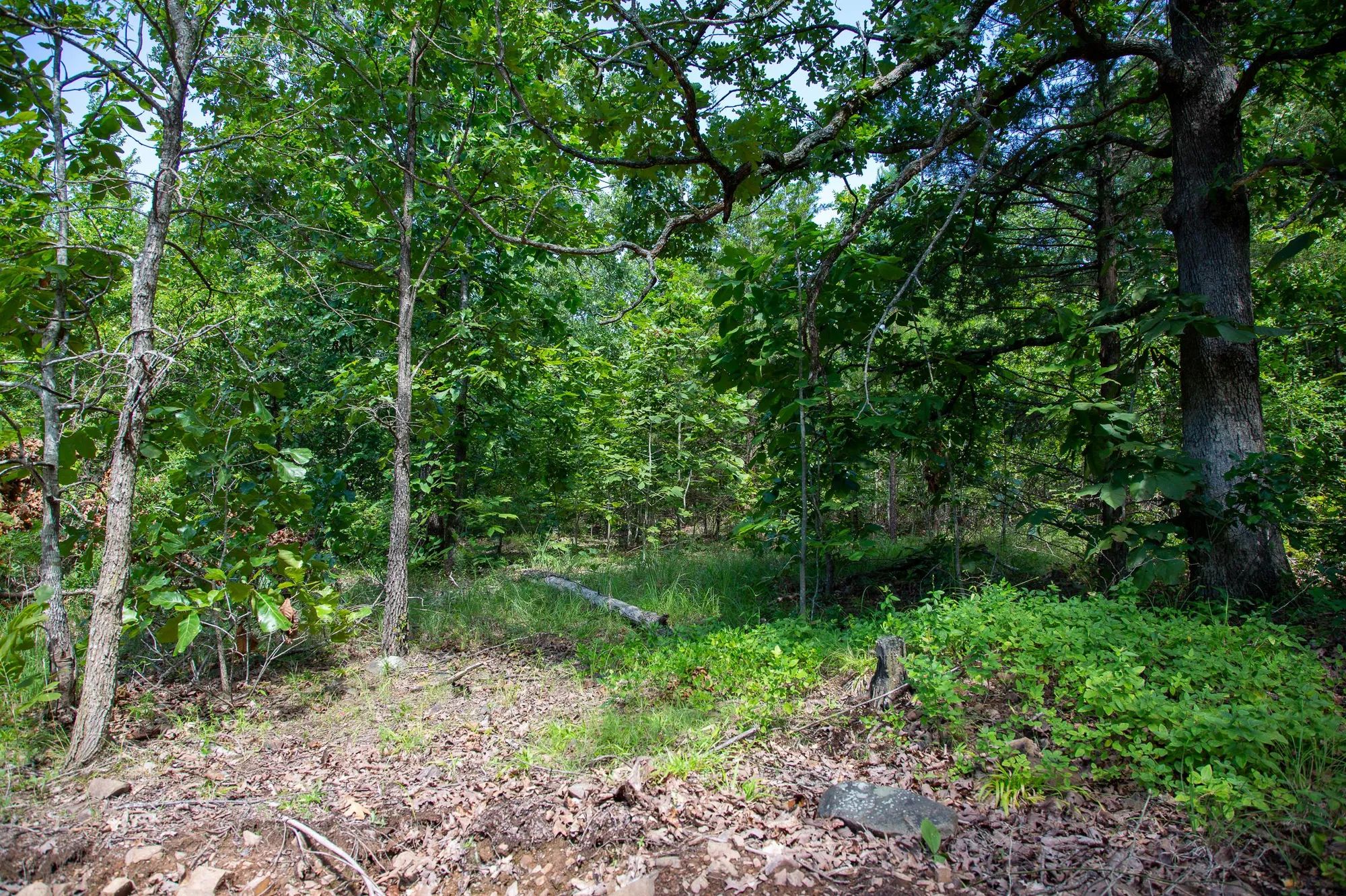 Tyler Stone Ranch photo 3