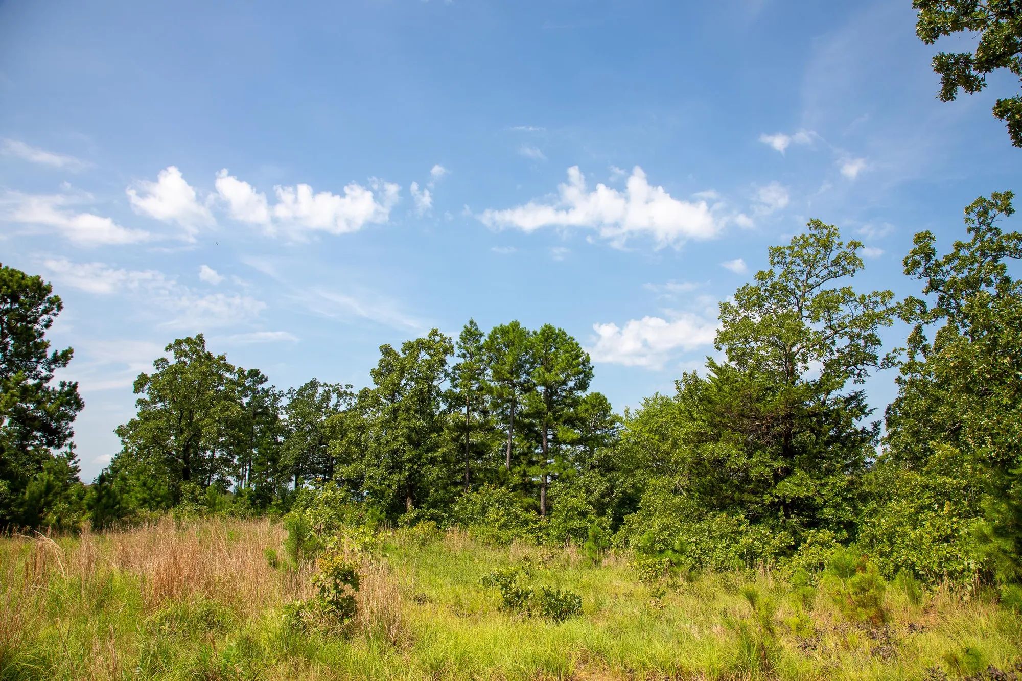 Tyler Stone Ranch photo 5