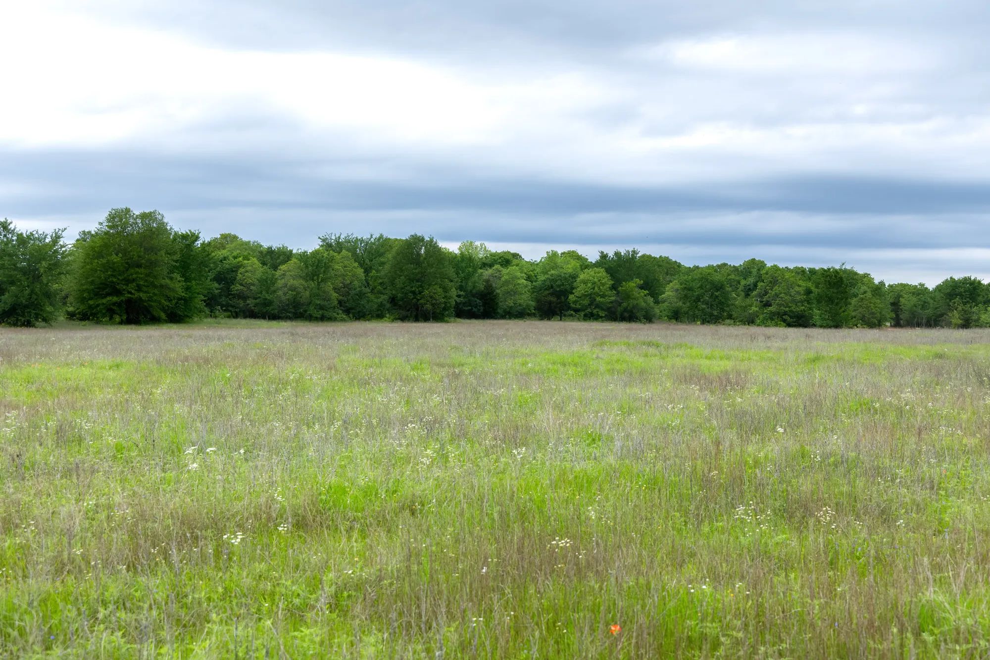 Harmony Hills photo 3