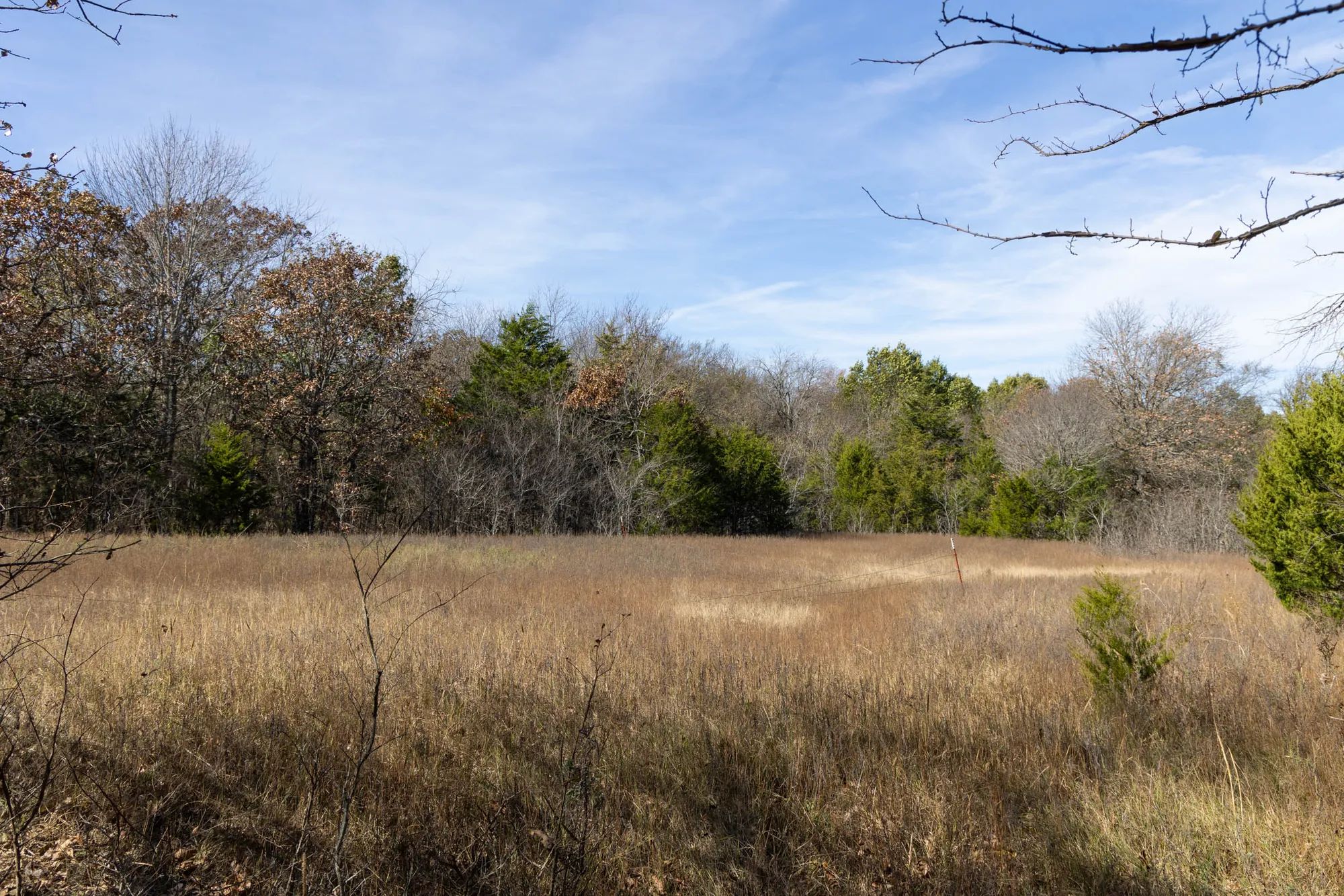 Harmony Hills photo 4