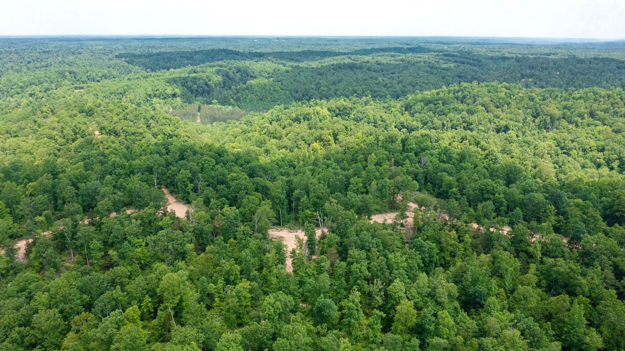 Cedar Creek photo 3