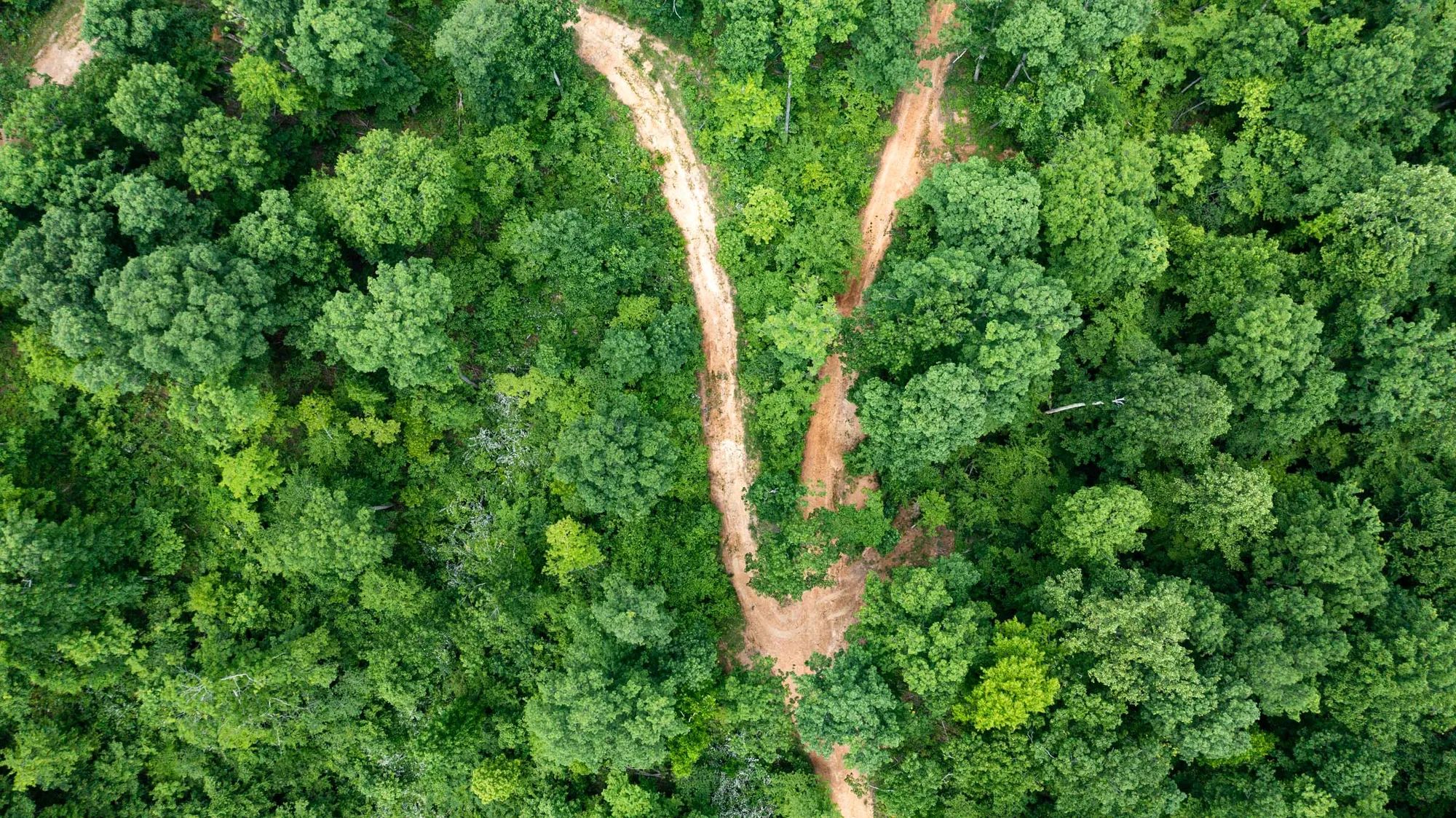 Cedar Creek photo 4