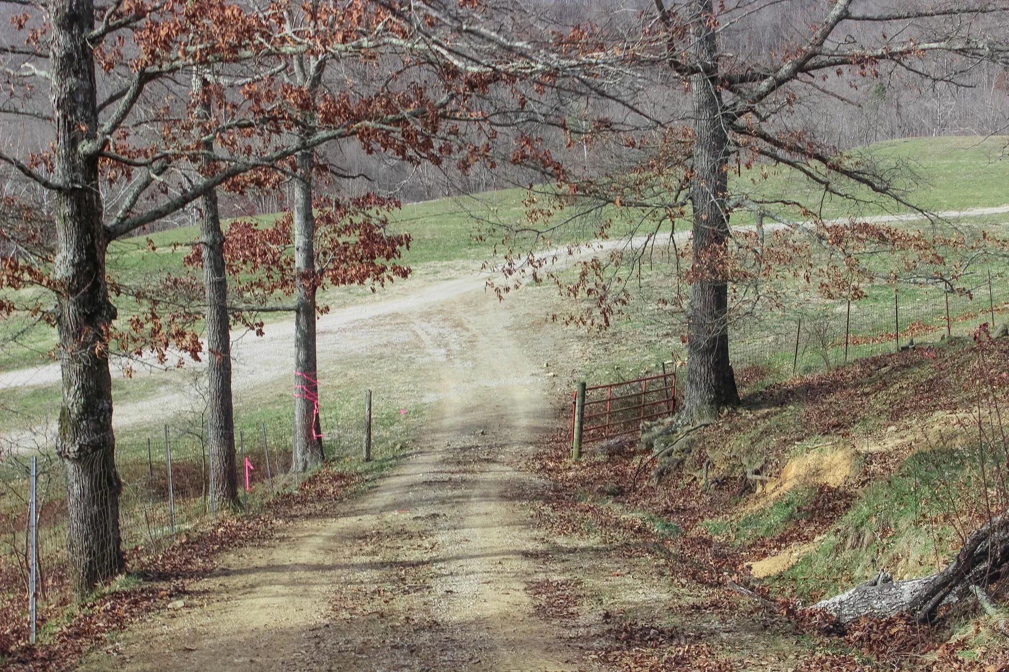 Serenity Creek photo 3