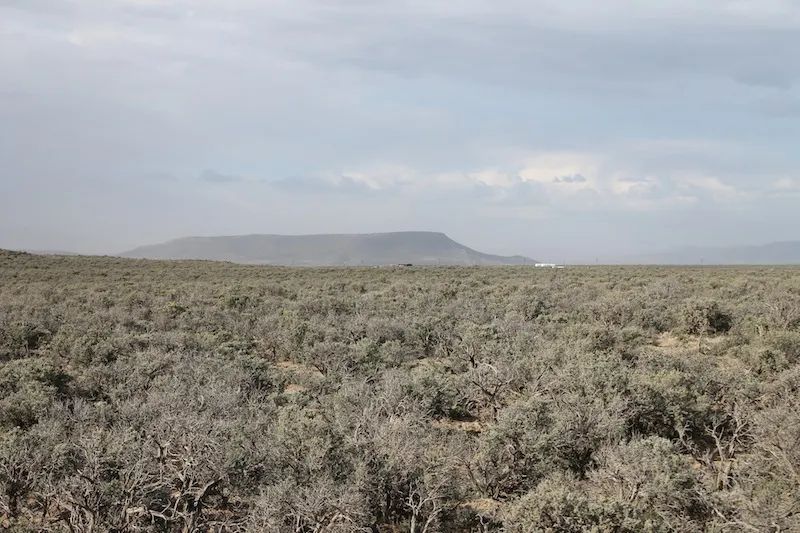 San Luis Valley Ranches photo 3