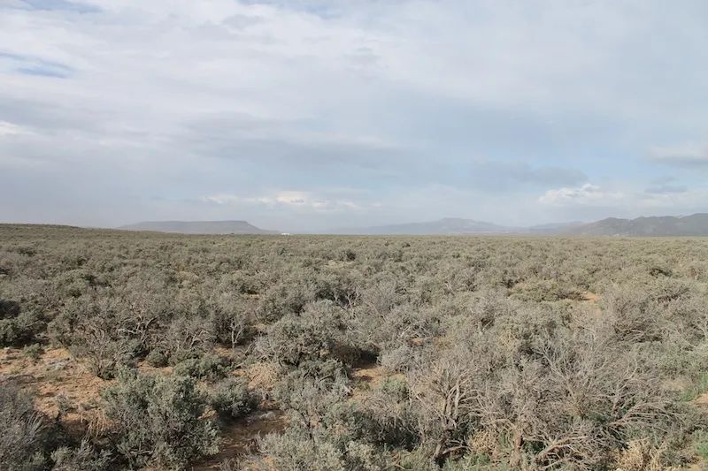 San Luis Valley Ranches photo 4