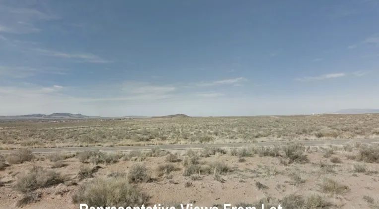 Rio del Oro photo 3