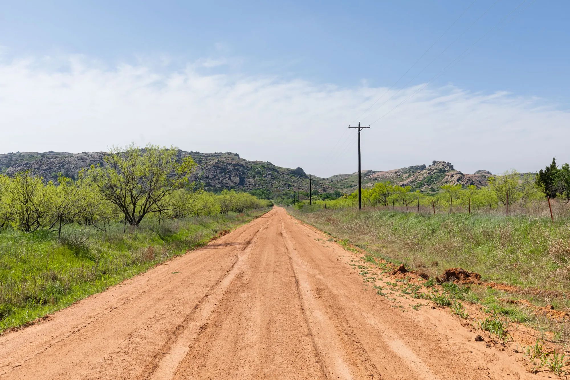Hackberry Fields photo 2