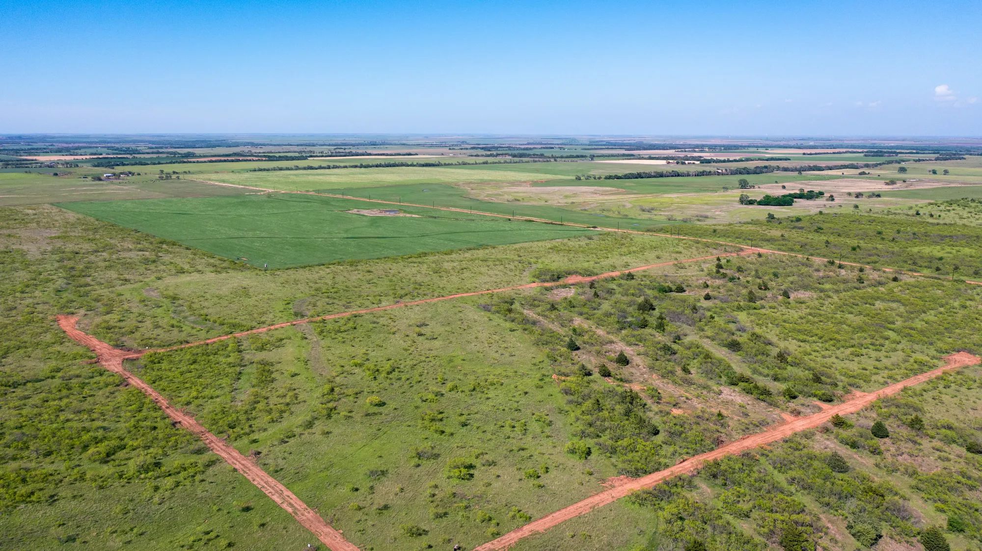 Hackberry Fields photo 3