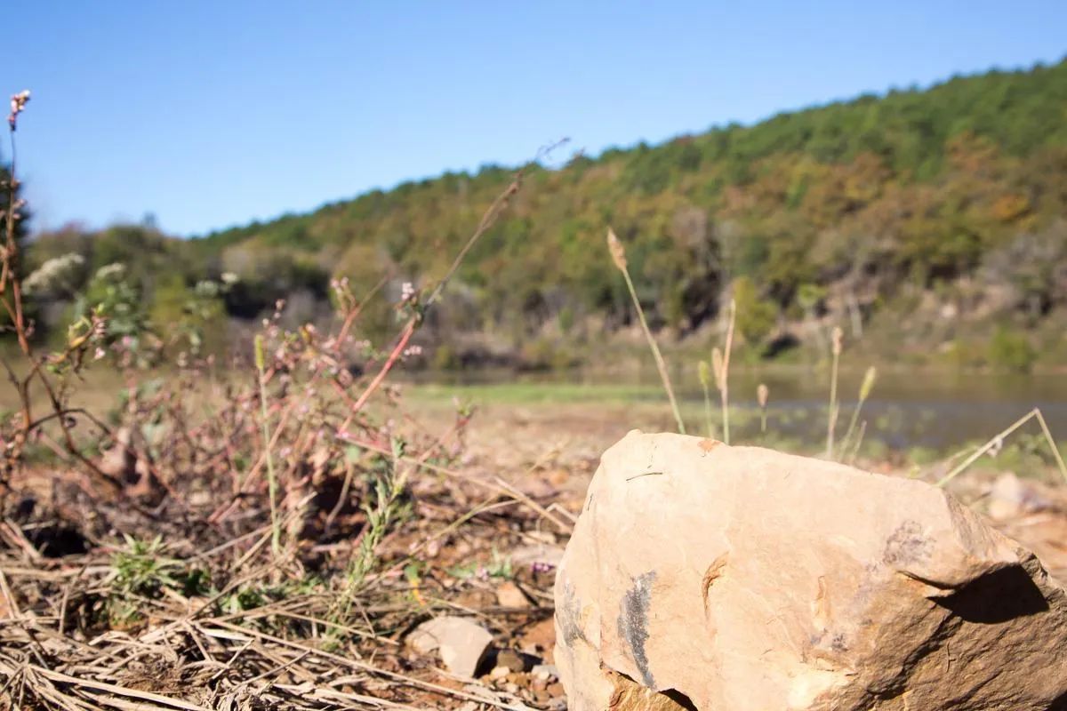 Stone Creek Phase I photo 4