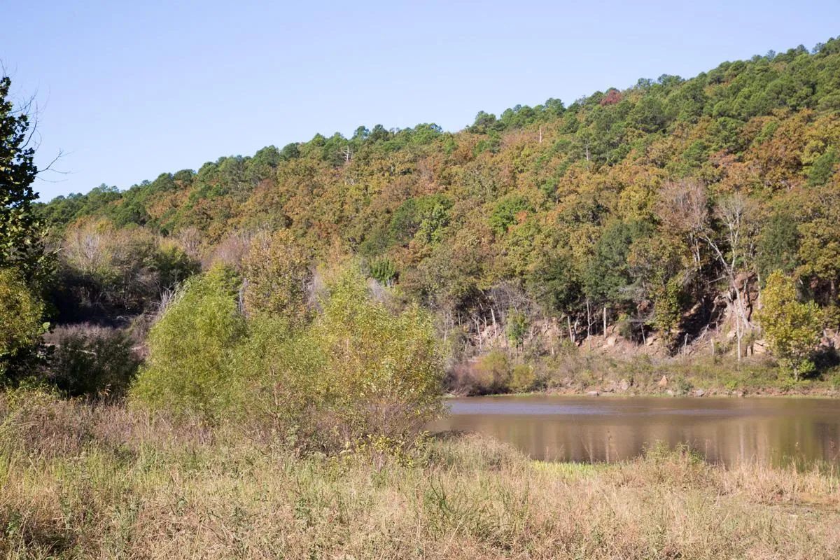 Stone Creek Phase I photo 5