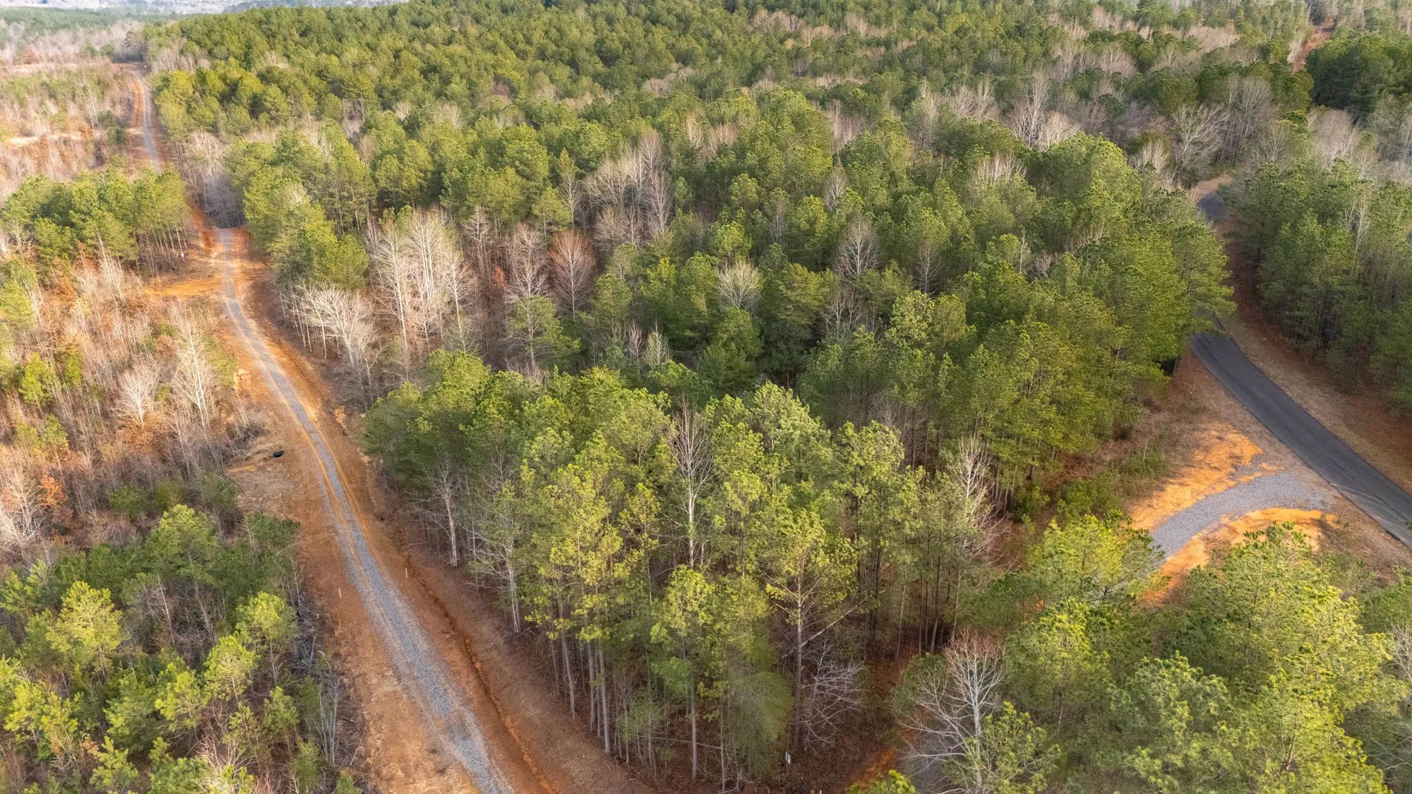 Baker Creek photo 4