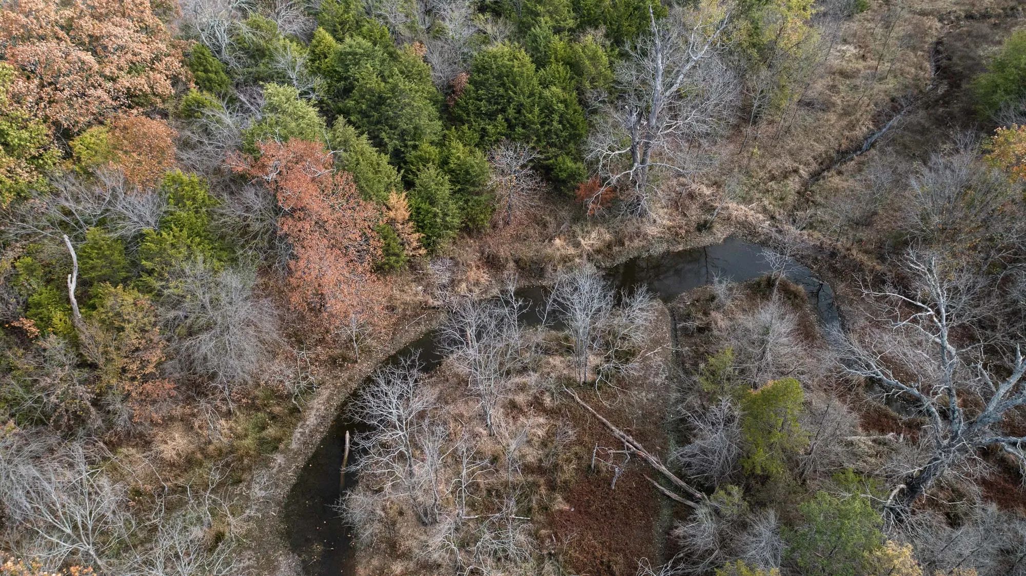 Crystal Springs photo 2