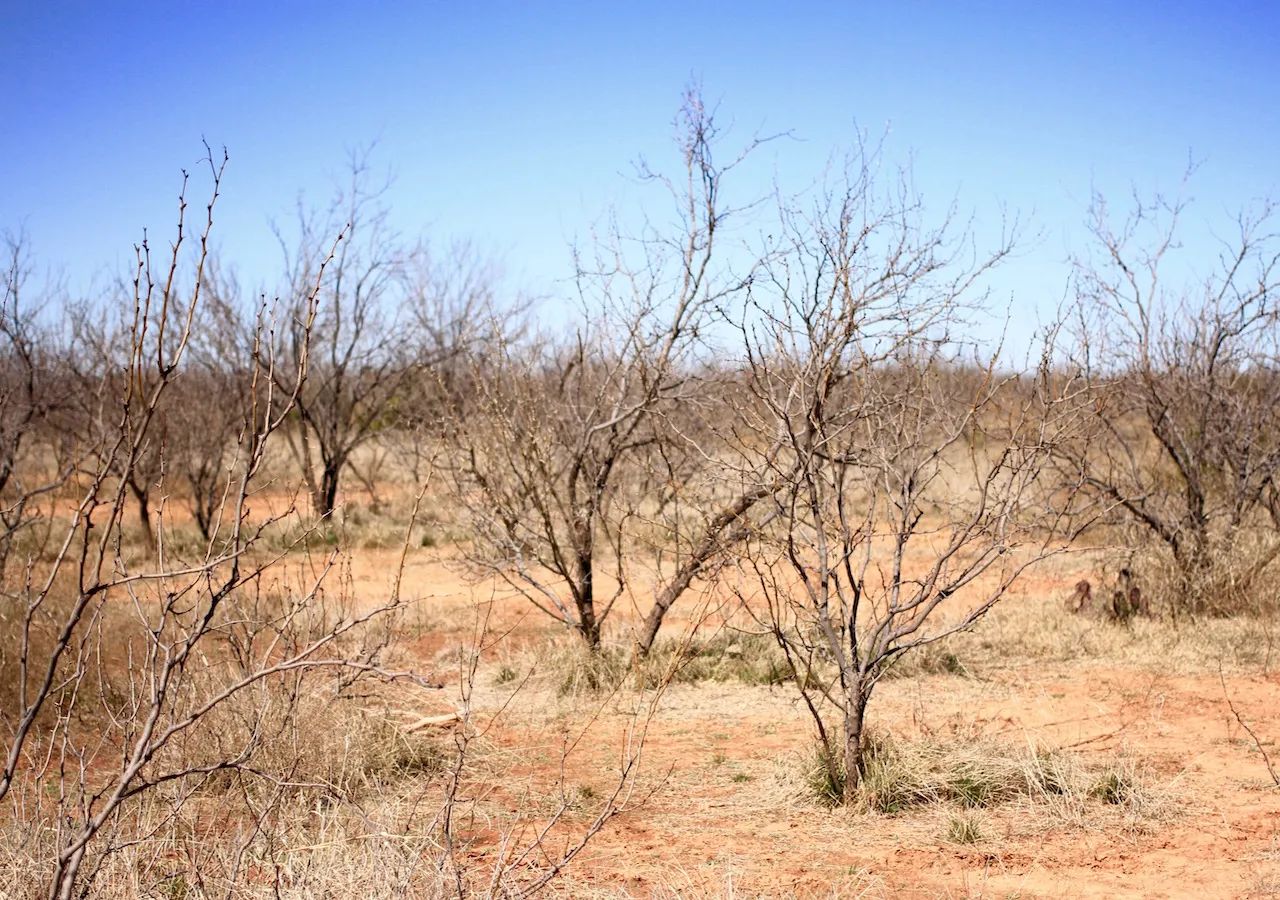 Red Rock Ranch photo 4
