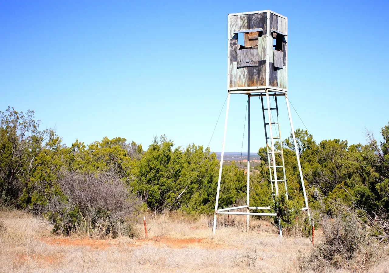 Red Rock Ranch photo 5
