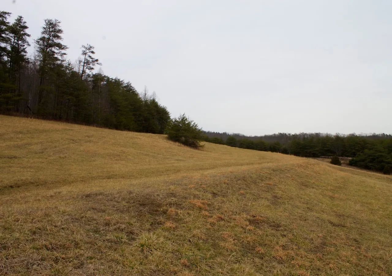 Majestic Rock Ranch photo 3