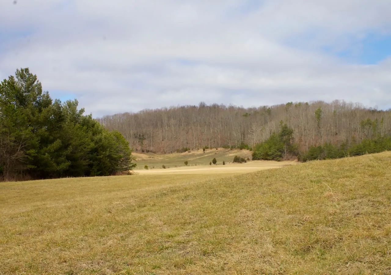 Majestic Rock Ranch photo 5