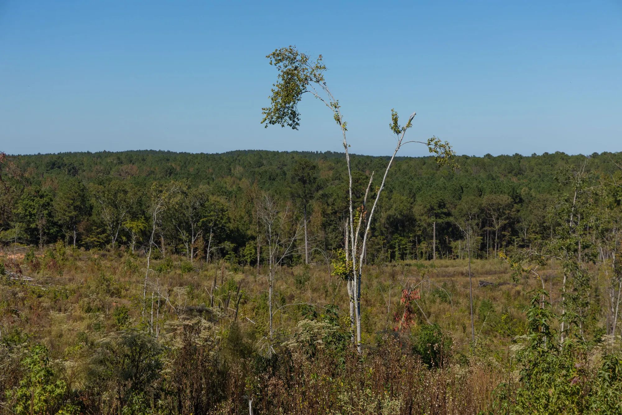 Meyer’s Ridge photo 3