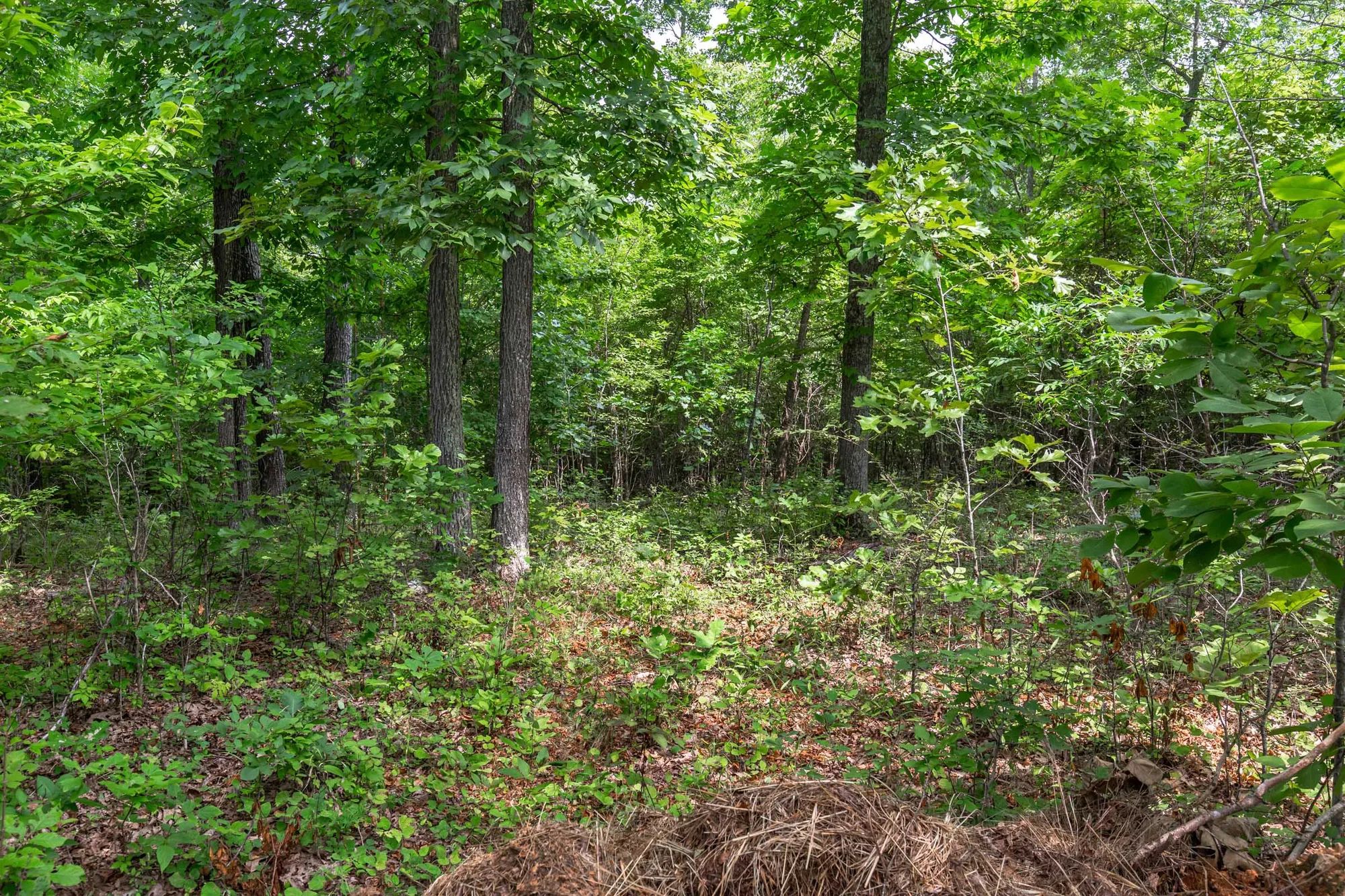 Cypress Ridge photo 3