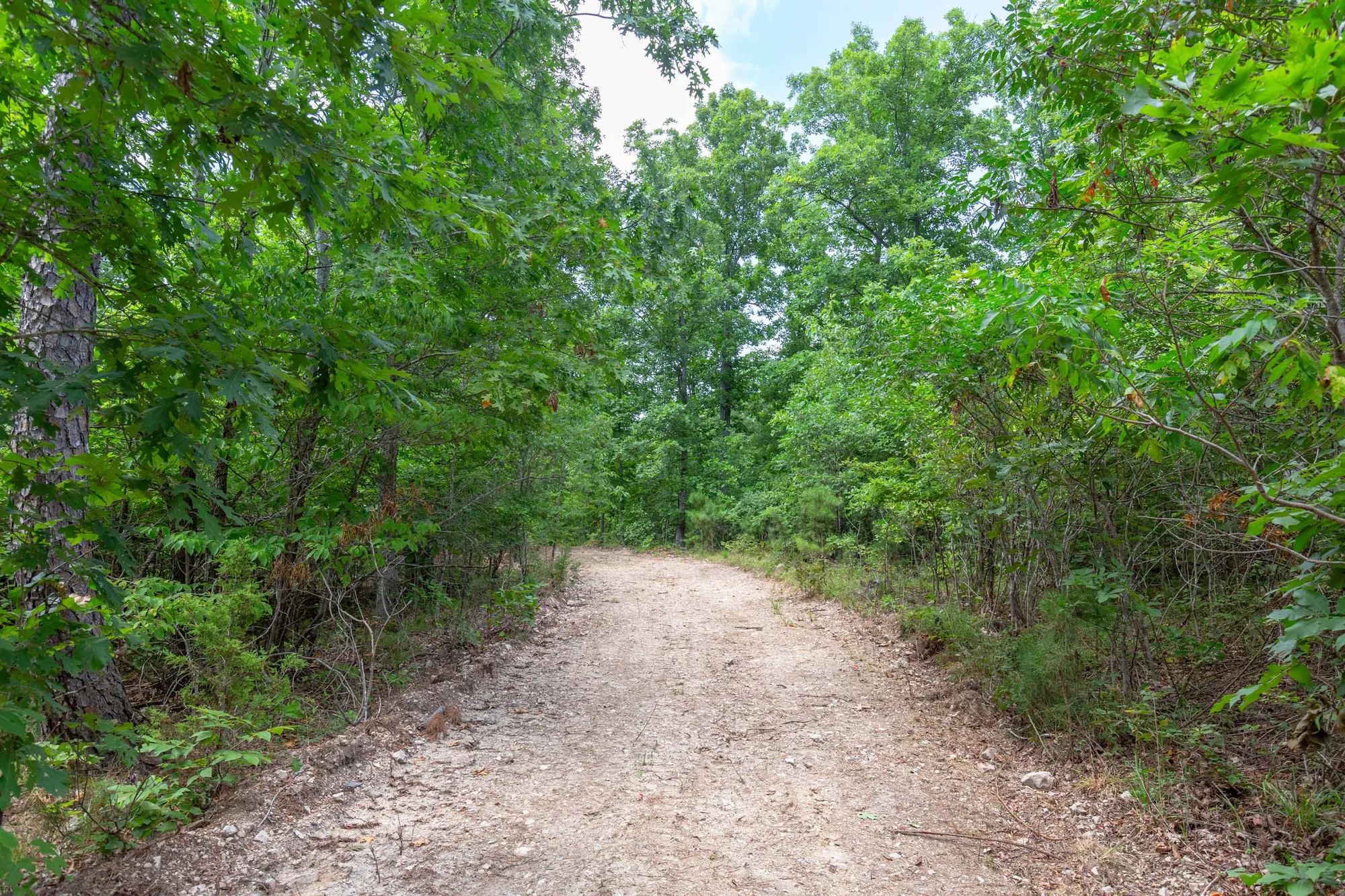 Cypress Ridge photo 5