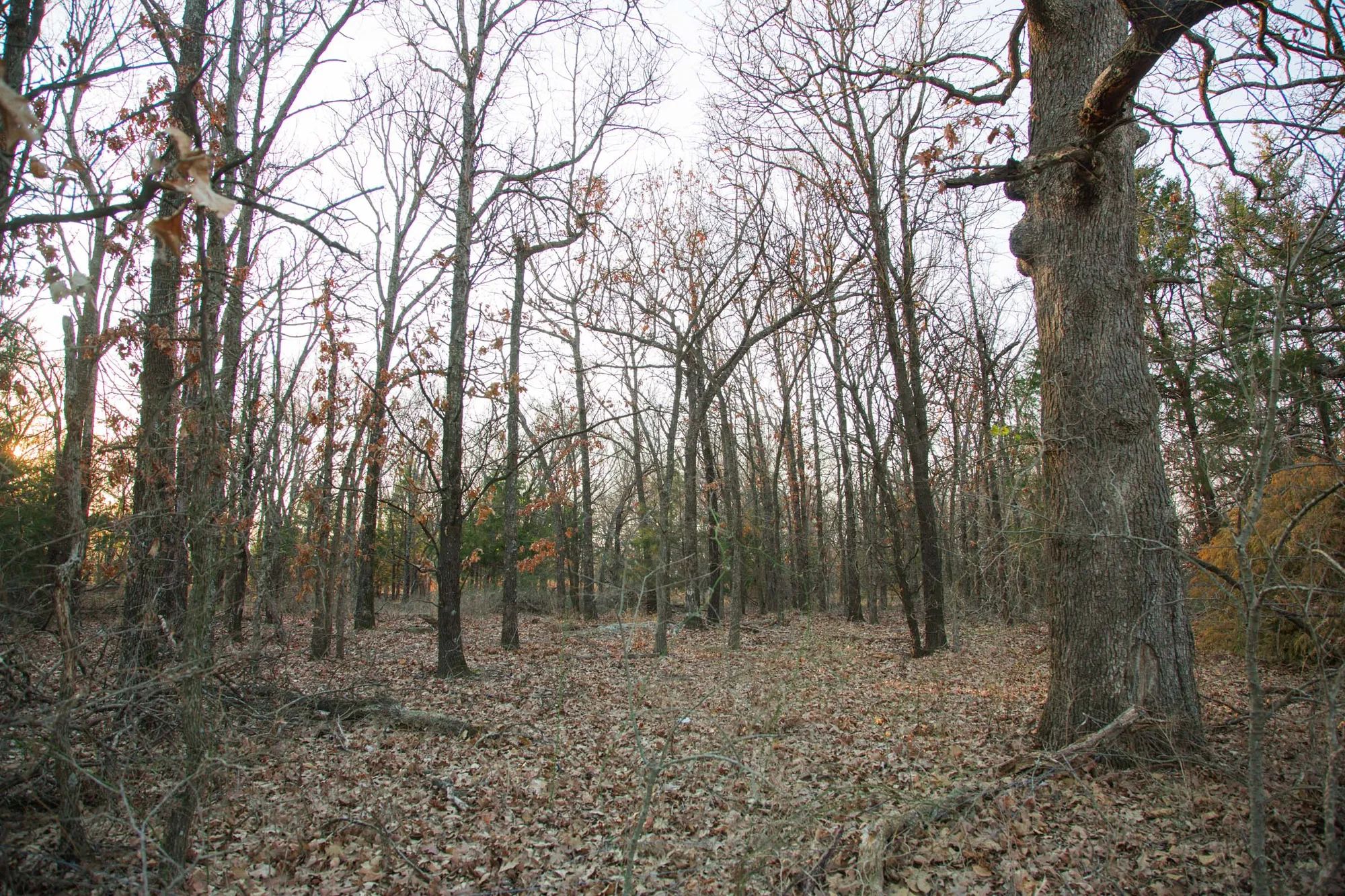 Eufaula Cove photo 2