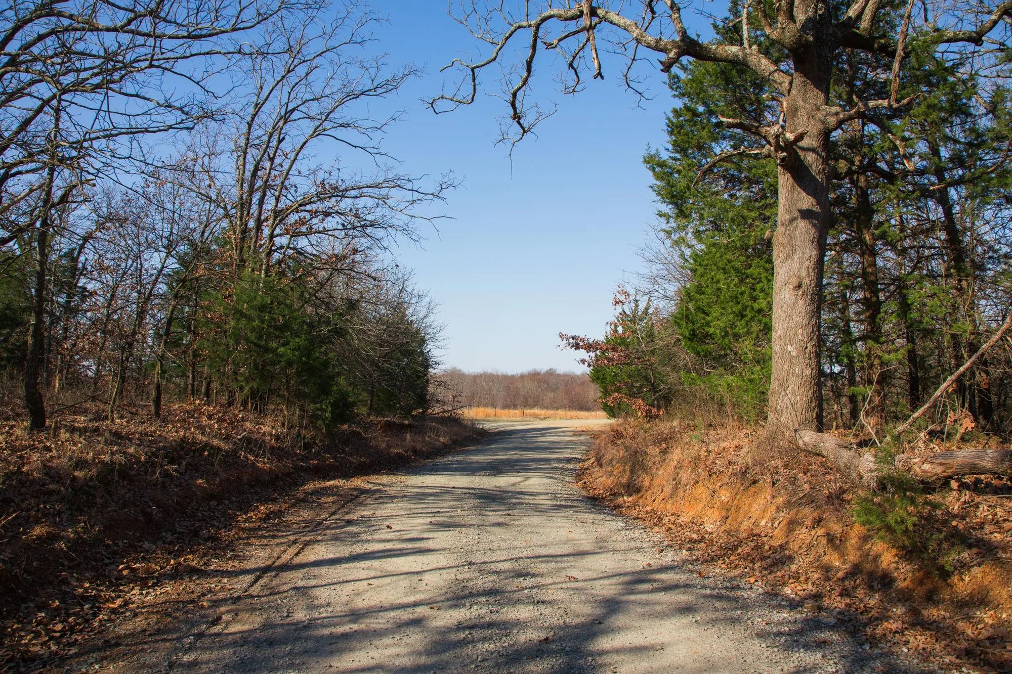 Eufaula Cove photo 4