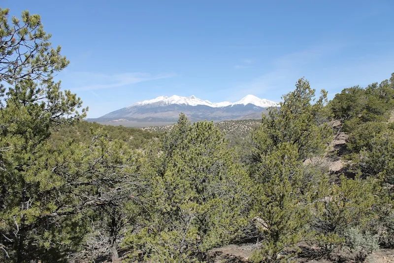 Sangre de Cristo Ranches photo 4