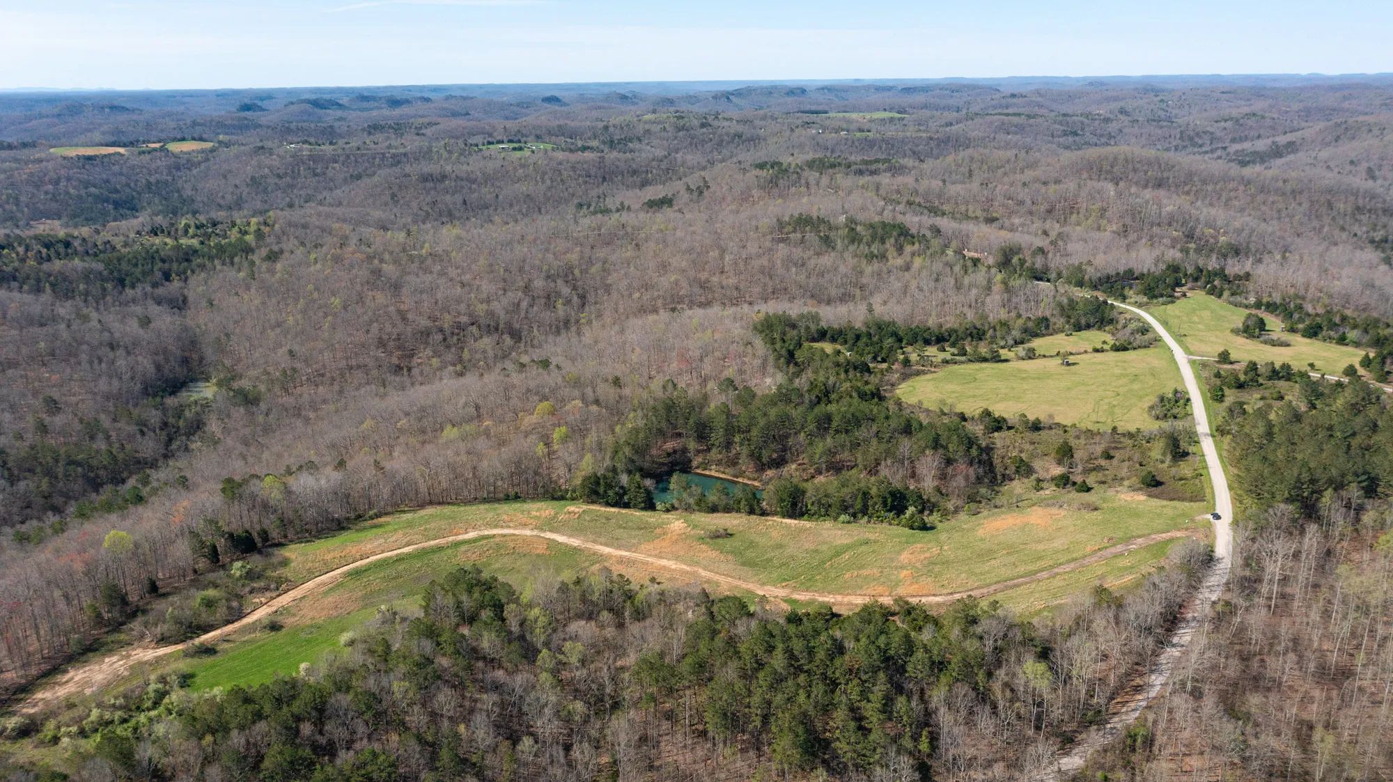 Woodland Heights photo 4