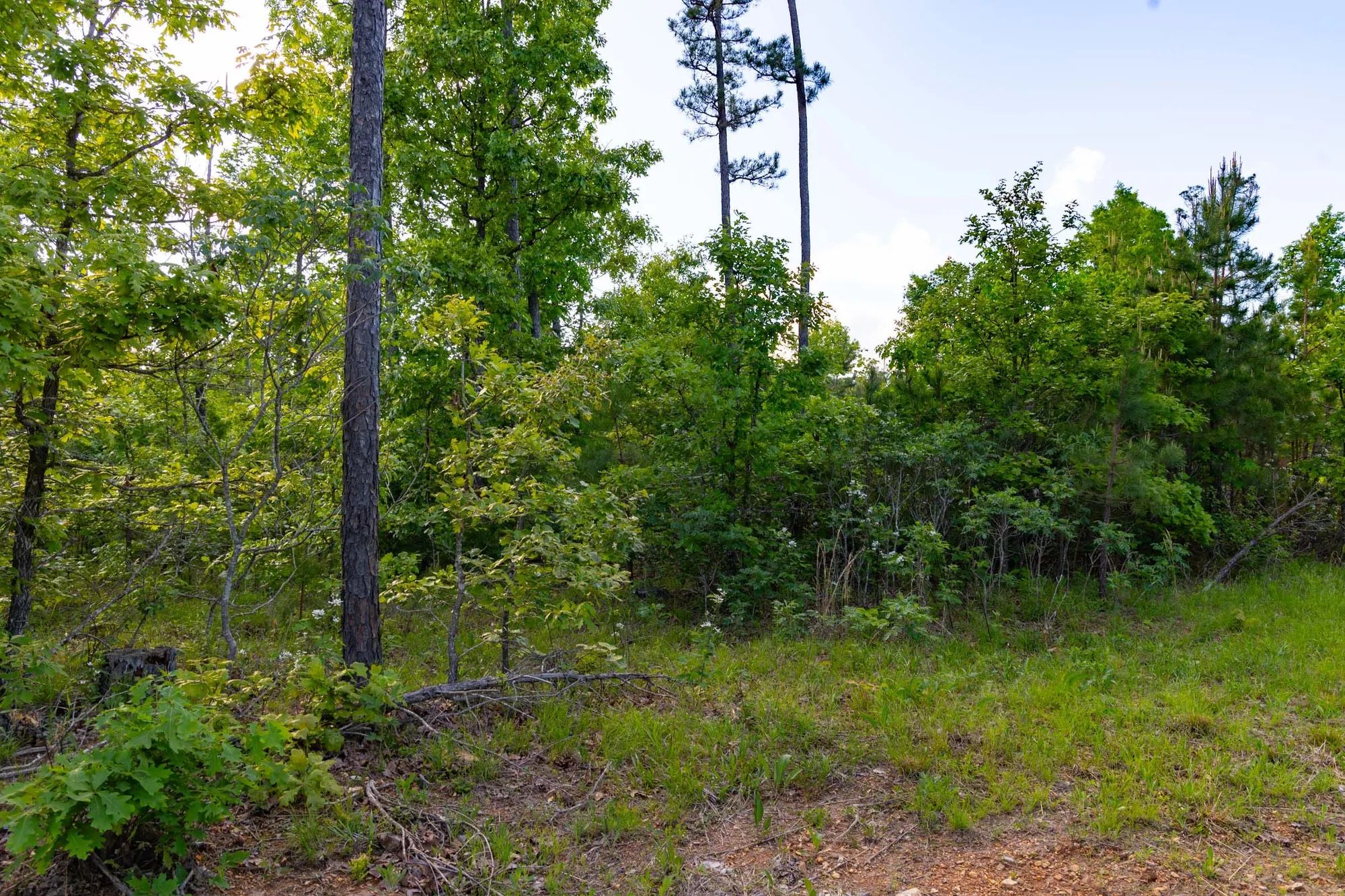 Sleepy Hollow Phase II Tract 60 in Texas County, MO