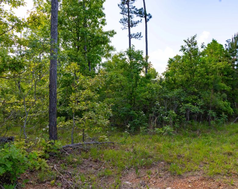 Sleepy Hollow Phase II Tract 60 in Texas County, MO