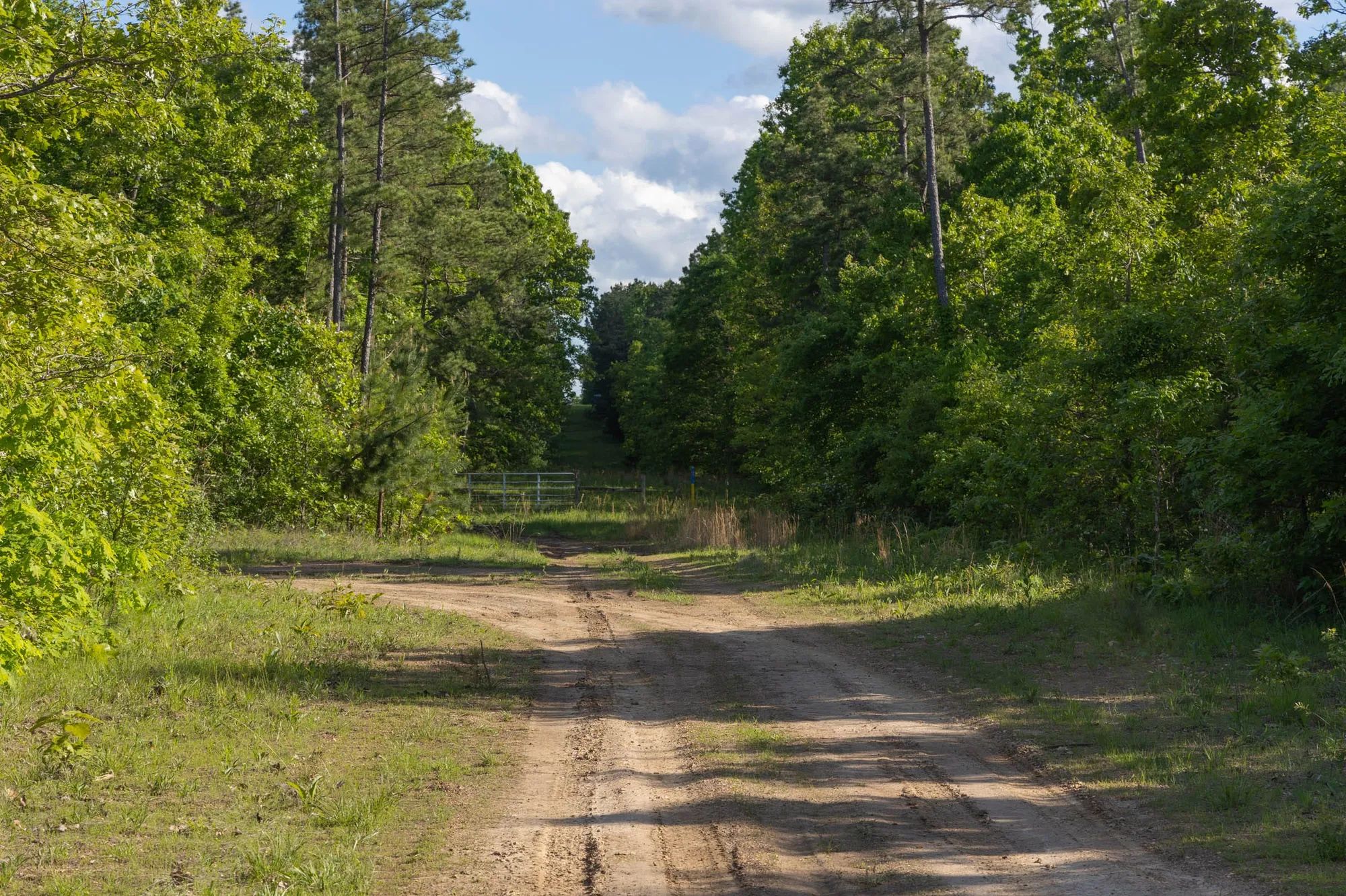 Sleepy Hollow Phase II Tract 60 in Texas County, MO