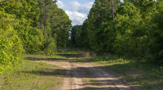 Sleepy Hollow Phase II Tract 60 in Texas County, MO