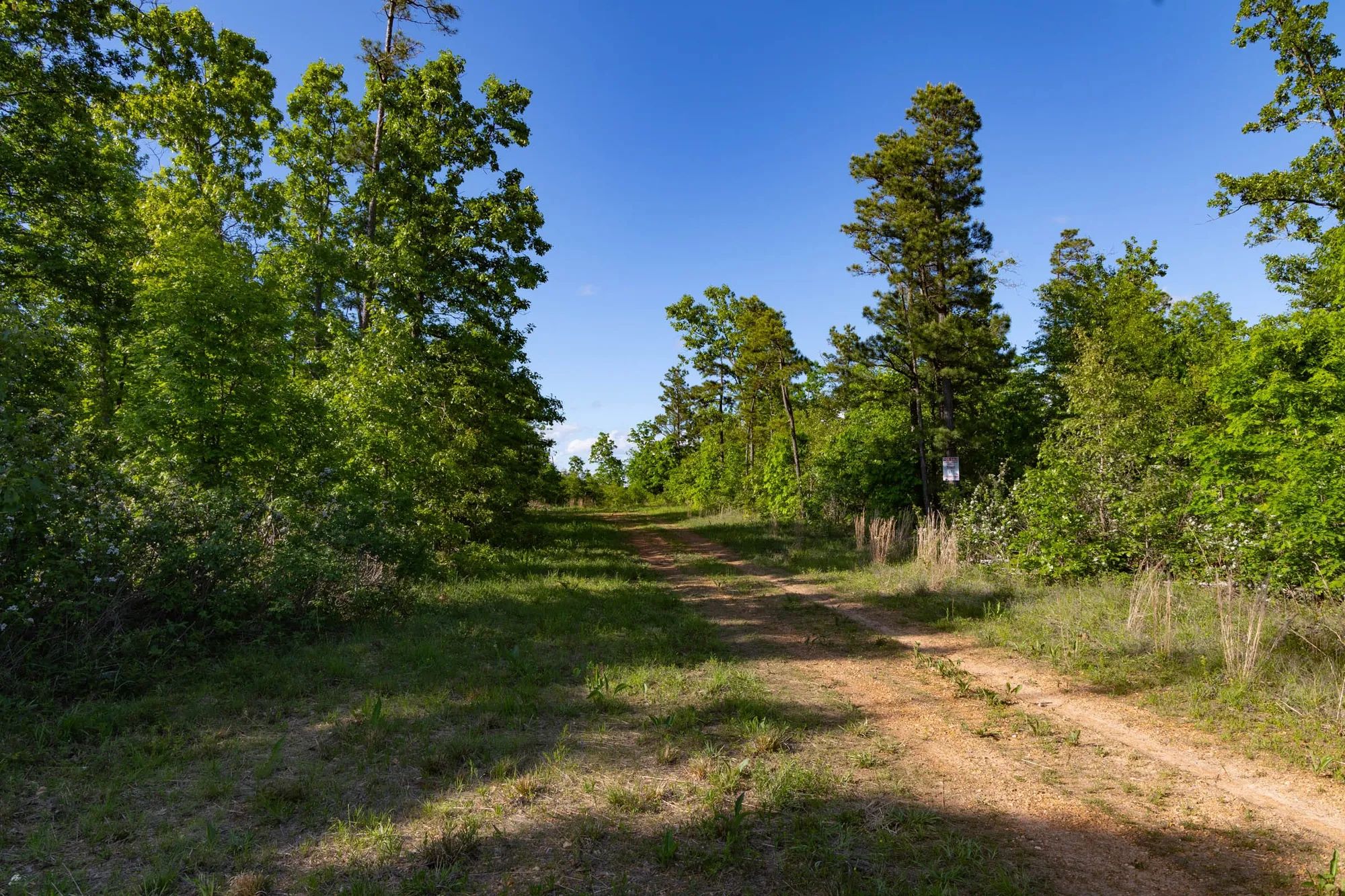 Sleepy Hollow Phase II Tract 60 in Texas County, MO