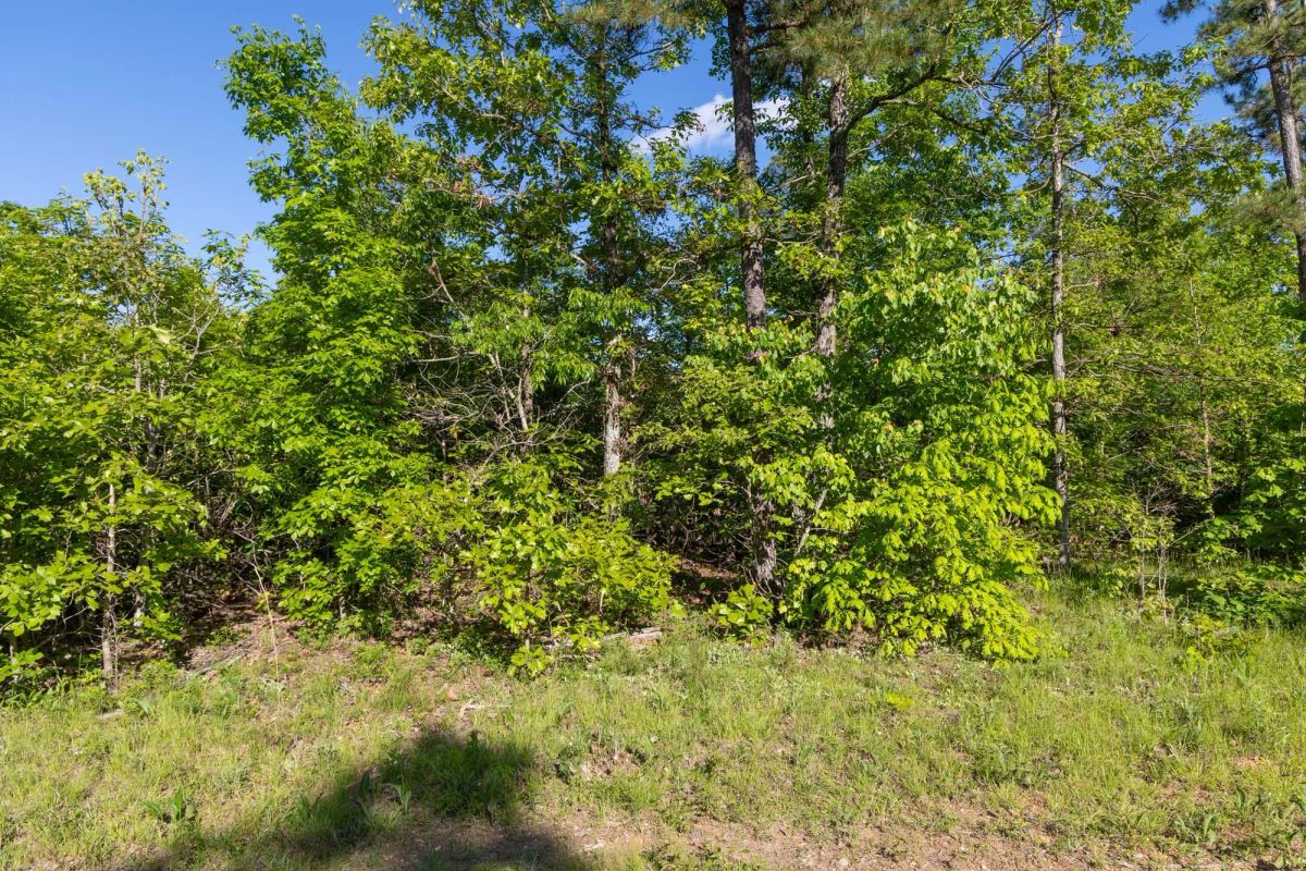 Decorative background for Sleepy Hollow Phase II Tract 60 image 6