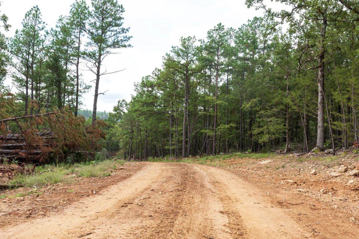 Stone Bridge Phase V Tract 403 - Image 4