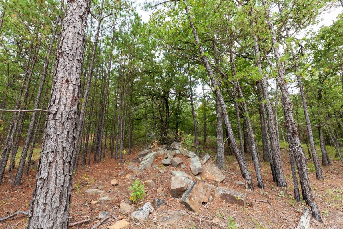 Decorative background for Stone Bridge Phase V Tract 403 image 7