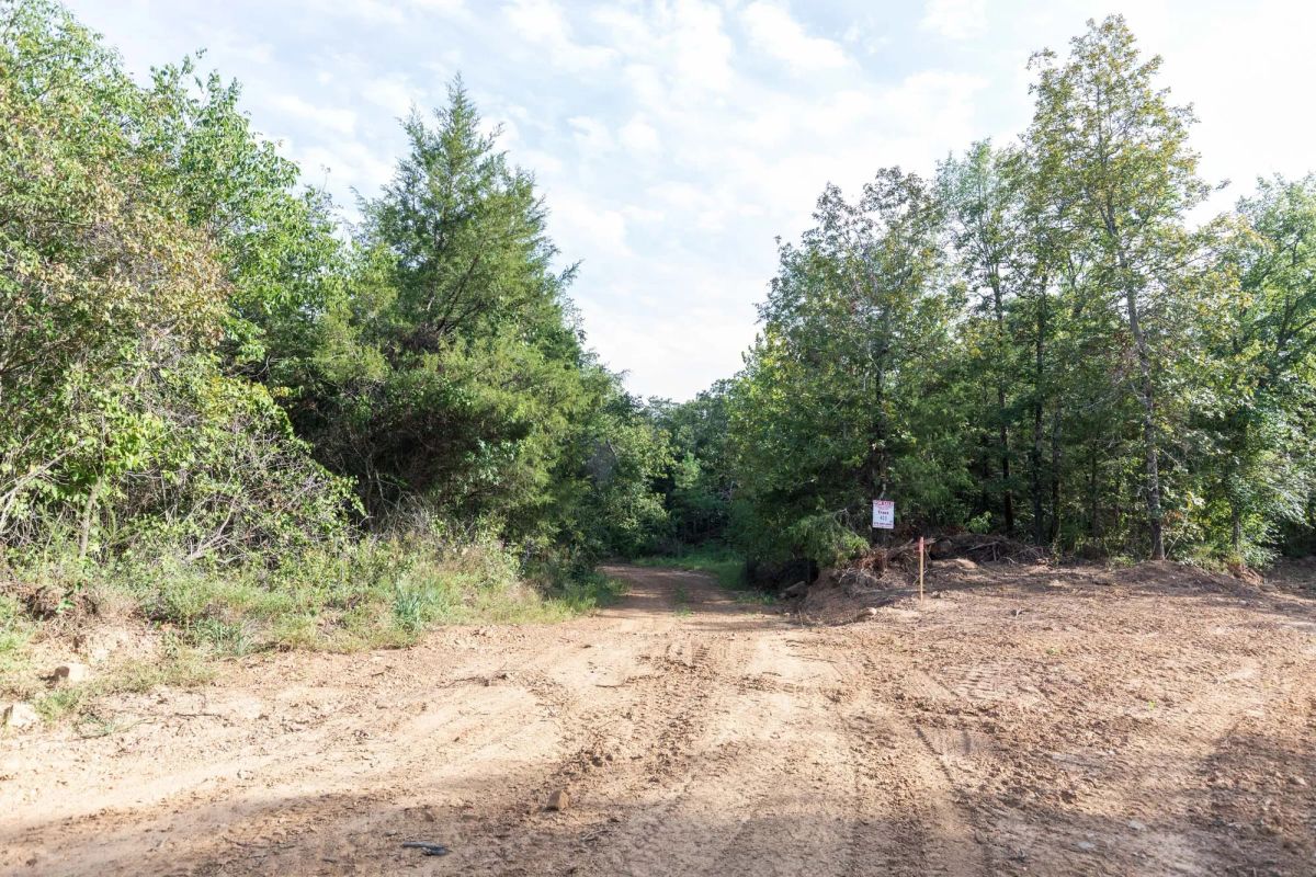 Decorative background for Stone Bridge Phase V Tract 403 image 8