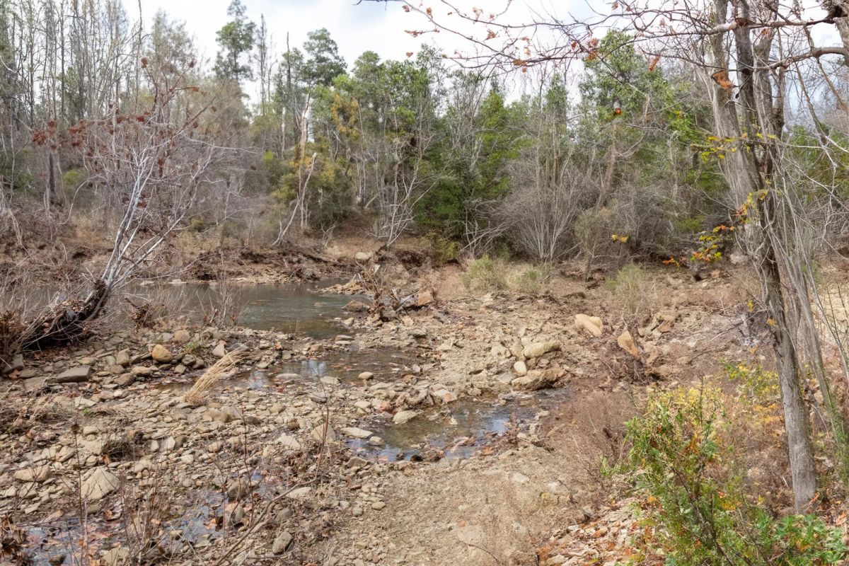 Decorative background for Stone Bridge Phase V Tract 403 image 9