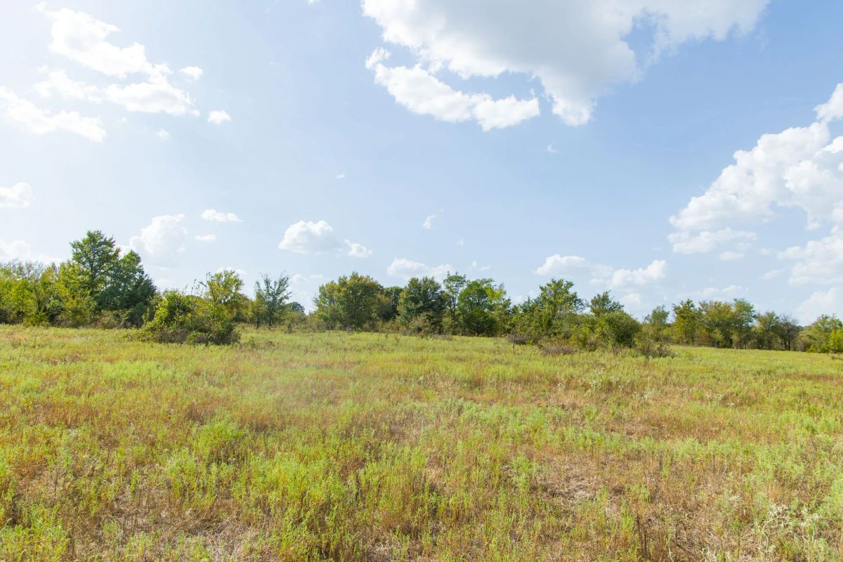 Gracyn Meadows Tract 5 - Main image