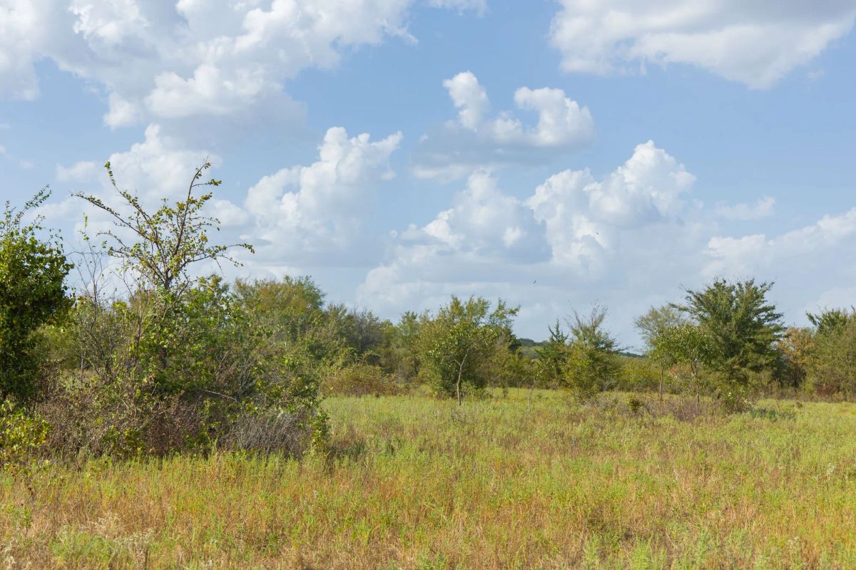 Gracyn Meadows Tract 5 - Image 4