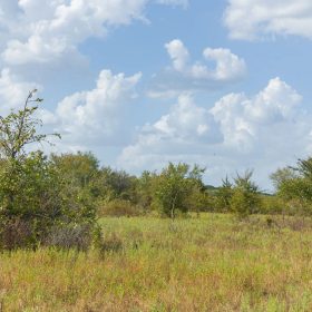Gracyn Meadows Tract 5 in Okfuskee County, OK