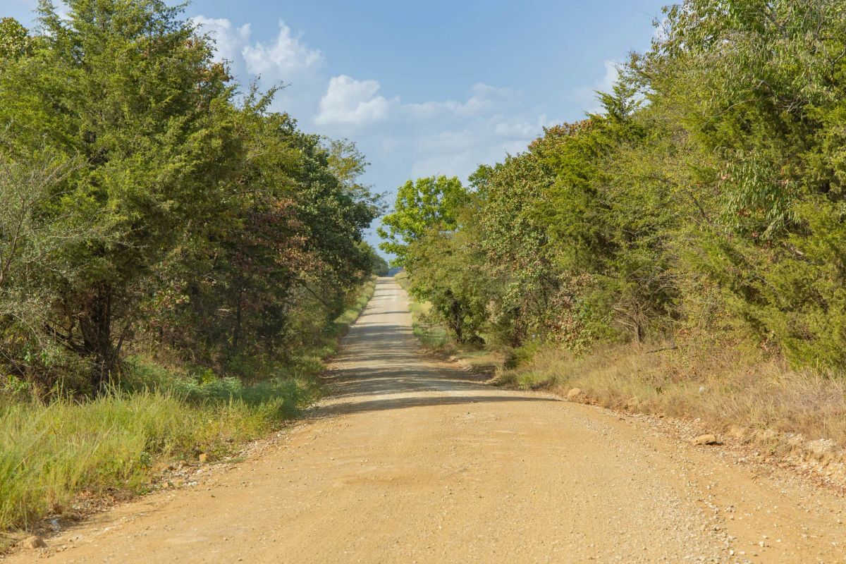 Decorative background for Gracyn Meadows Tract 5 image 5