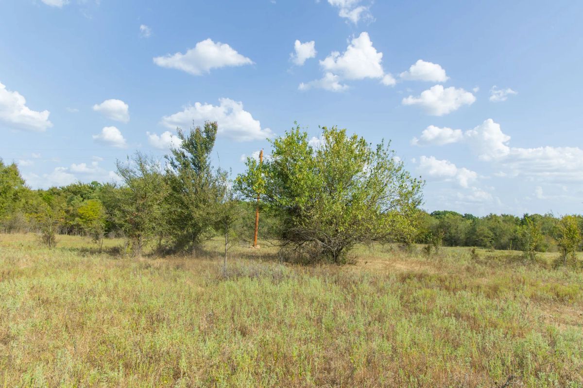 Decorative background for Gracyn Meadows Tract 5 image 6