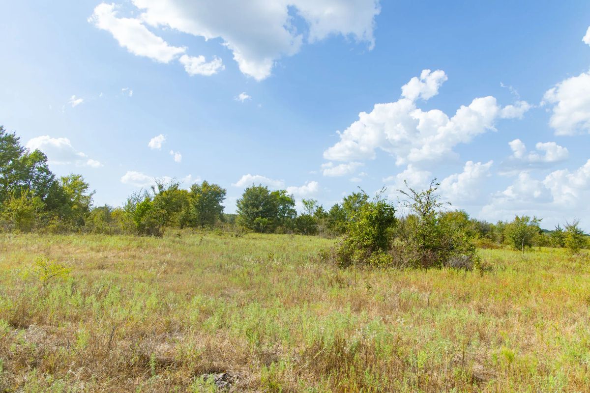 Decorative background for Gracyn Meadows Tract 5 image 8
