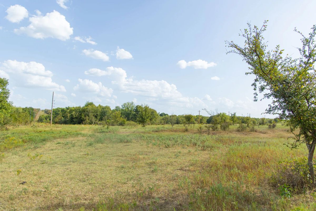 Decorative background for Gracyn Meadows Tract 5 image 10