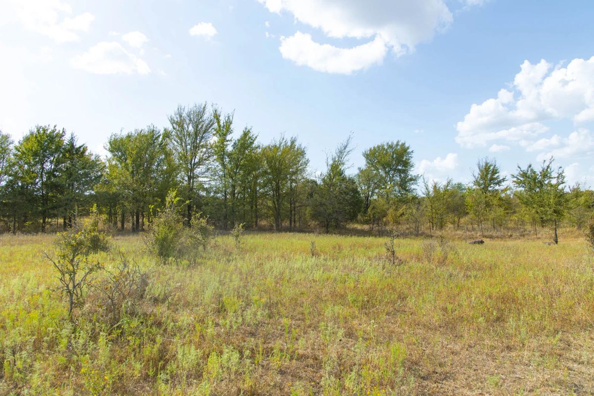 Decorative background for Gracyn Meadows Tract 5 image 11